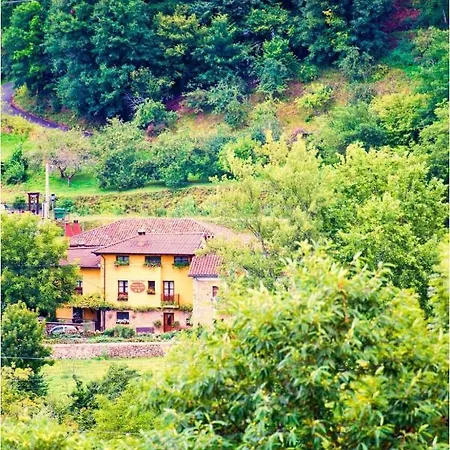 乡村民宿 Campos *