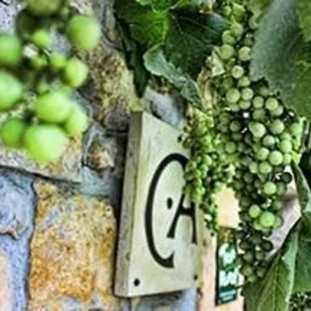 Campos 乡村民宿 *